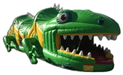 Iguana Obstacle Course